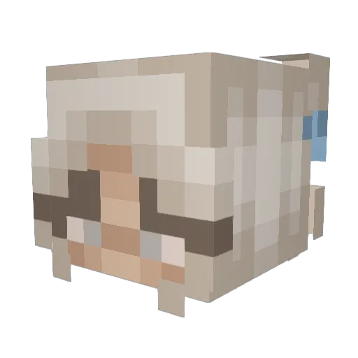 noblekiller09 Minecraft avatar head, 3D render