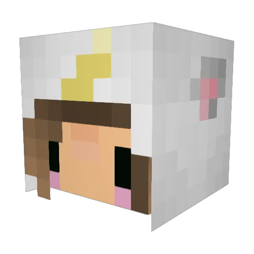 nobleteam614 Minecraft avatar head, 3D render