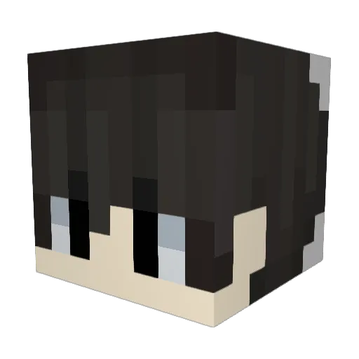 noblop2525 Minecraft avatar head, 3D render