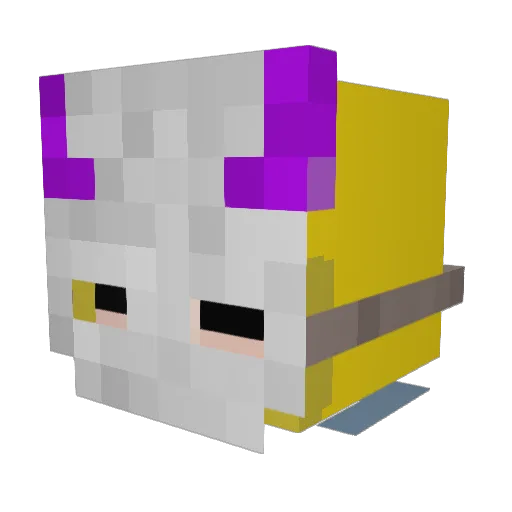 nobody_era Minecraft avatar head, 3D render