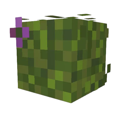 nobopyon Minecraft avatar head, 3D render