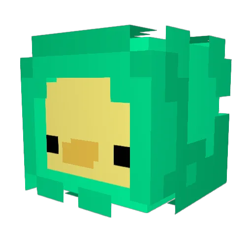 nobugs6 Minecraft avatar head, 3D render