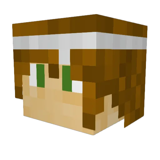 nocchiarrow Minecraft avatar head, 3D render