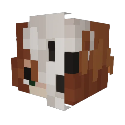 noctikoree Minecraft avatar head, 3D render