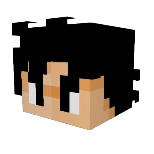 noctisbcs Minecraft avatar head, 3D render