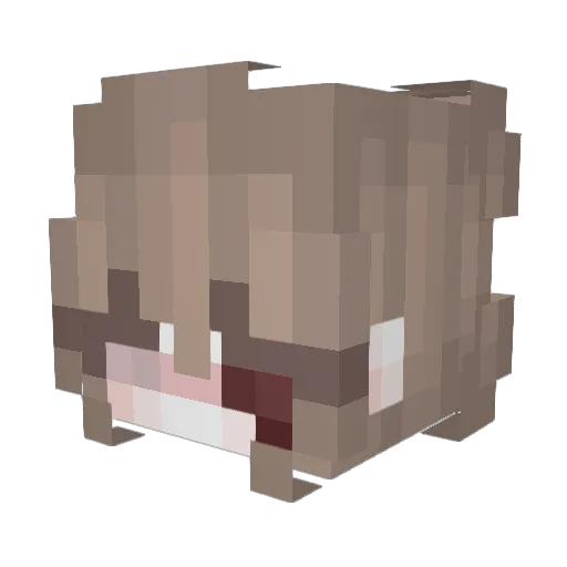 nocturnjs Minecraft avatar head, 3D render