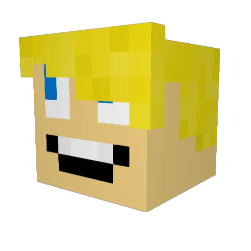 nodnarboy Minecraft avatar head, 3D render