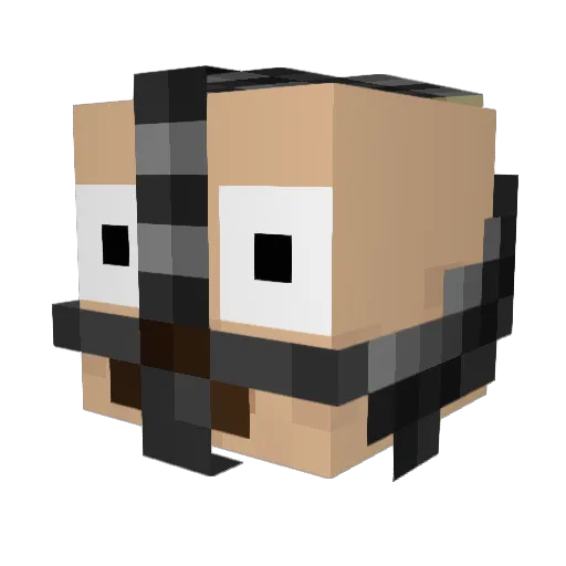 nodripjacob Minecraft avatar head, 3D render