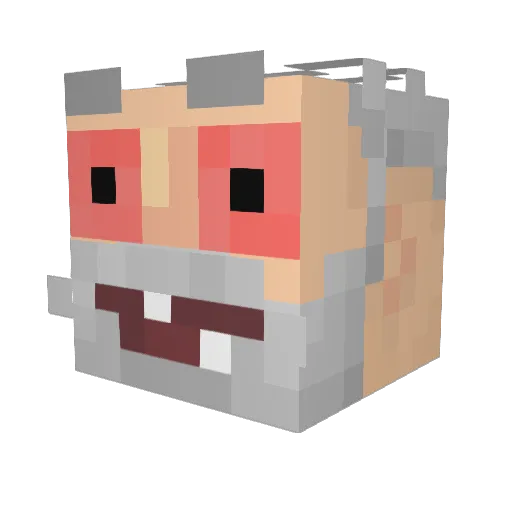 noedelman2006 Minecraft avatar head, 3D render