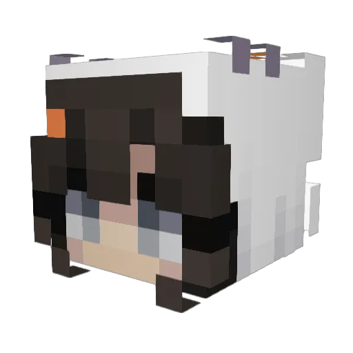 noediez Minecraft avatar head, 3D render