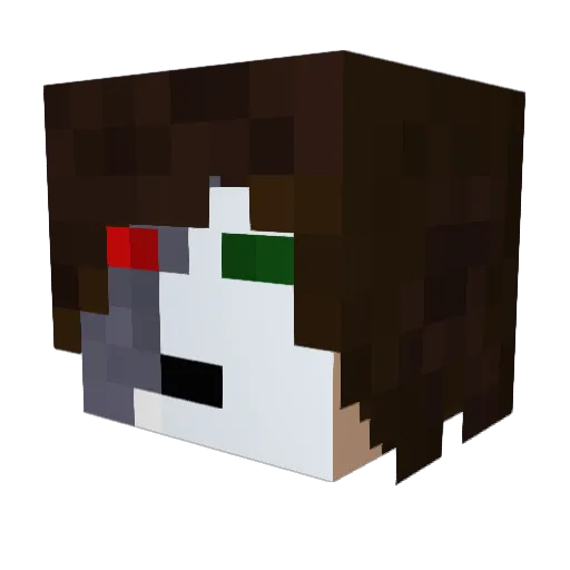 noegaming2003 Minecraft avatar head, 3D render