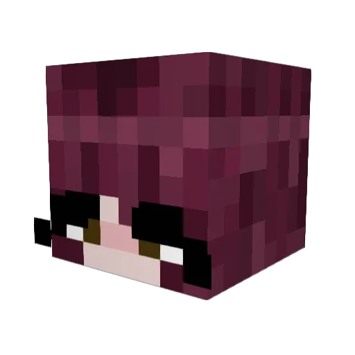 noel08fox Minecraft avatar head, 3D render