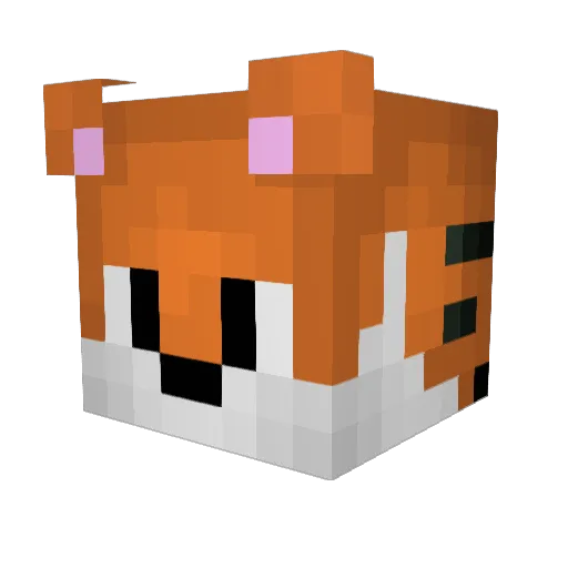 noel123nl Minecraft avatar head, 3D render