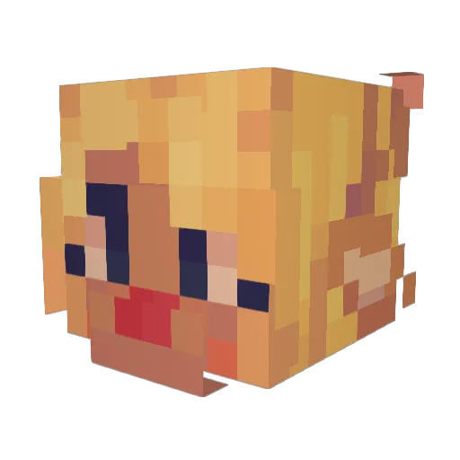 noelholiday Minecraft avatar head, 3D render