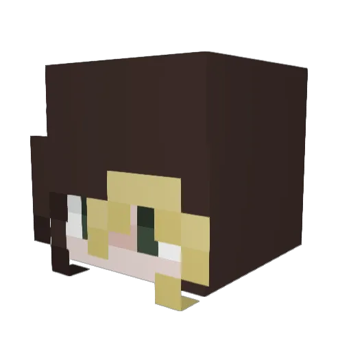 noelle37 Minecraft avatar head, 3D render
