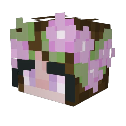 noelleinthestars Minecraft avatar head, 3D render