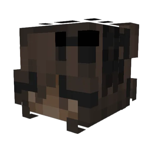 noemiemi2 Minecraft avatar head, 3D render