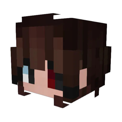 Minecraft-Avatar von noesgoez: Kopf als 3D-Render
