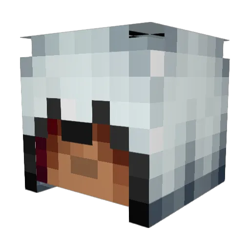 noexception Minecraft avatar head, 3D render