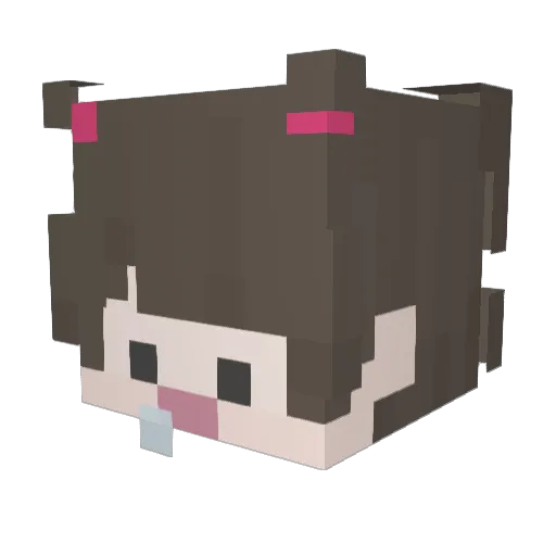 noeyhaj Minecraft avatar head, 3D render