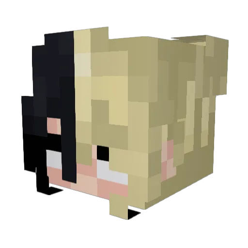 nofacekao Minecraft avatar head, 3D render