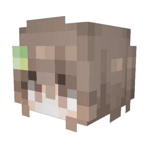 nofishma Minecraft avatar head, 3D render