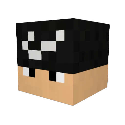 noggin_ Minecraft avatar head, 3D render