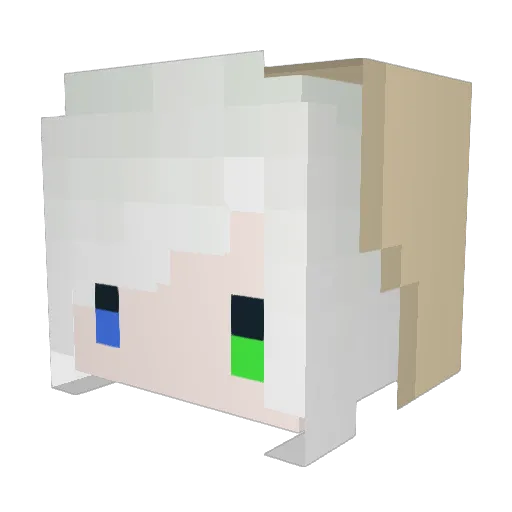 nogi_a Minecraft avatar head, 3D render