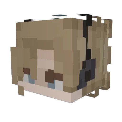 nogtoes Minecraft avatar head, 3D render