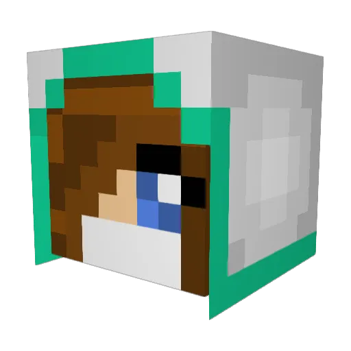 nogua Minecraft avatar head, 3D render