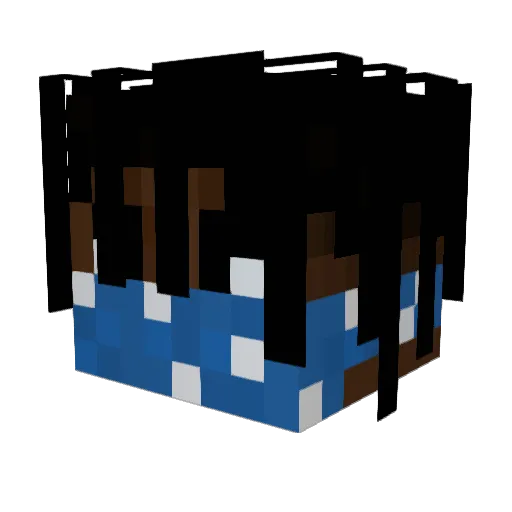 nohamjustpickles Minecraft avatar head, 3D render
