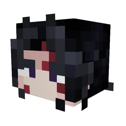 nohaxjustcanfly2 Minecraft avatar head, 3D render