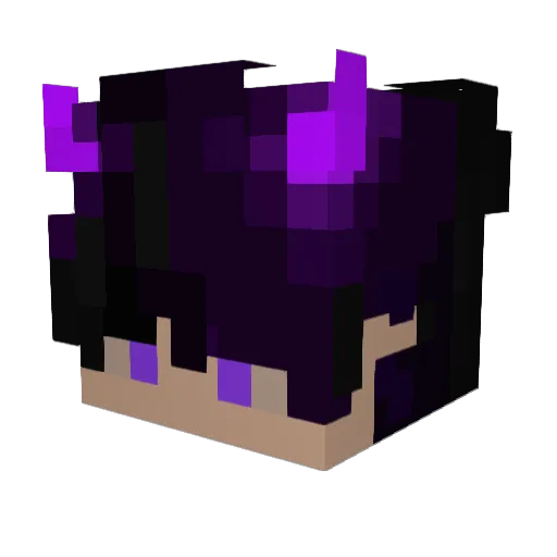 nohaxjustonlypro Minecraft avatar head, 3D render