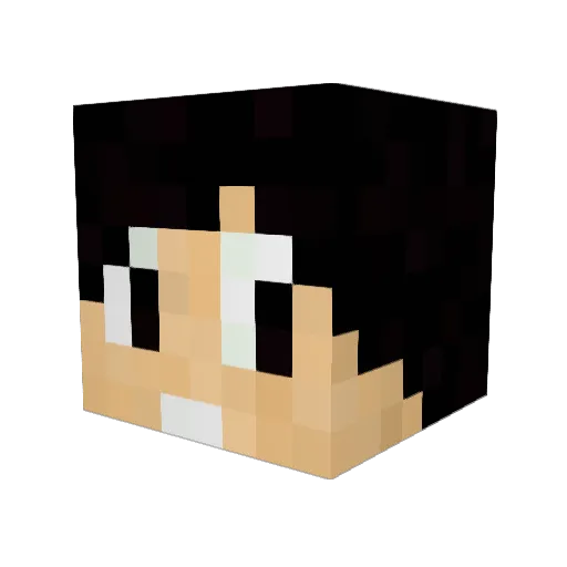 noheel Minecraft avatar head, 3D render