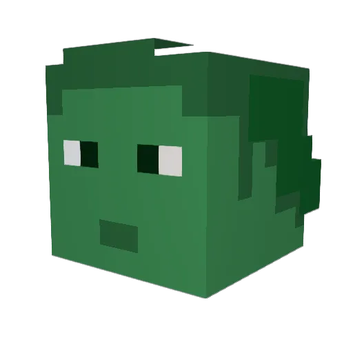 nohemo Minecraft avatar head, 3D render
