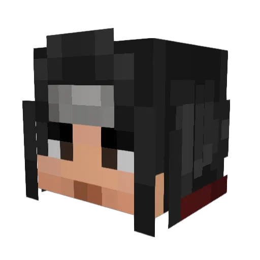 nohp9 Minecraft avatar head, 3D render