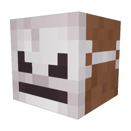 nohskiii Minecraft avatar head, 3D render