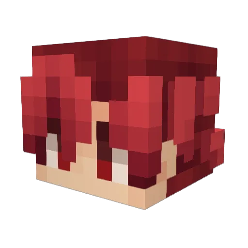 noi5512 Minecraft avatar head, 3D render
