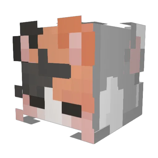 noiceyaa Minecraft avatar head, 3D render
