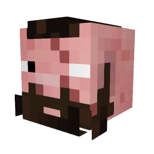 noifaltalt Minecraft avatar head, 3D render