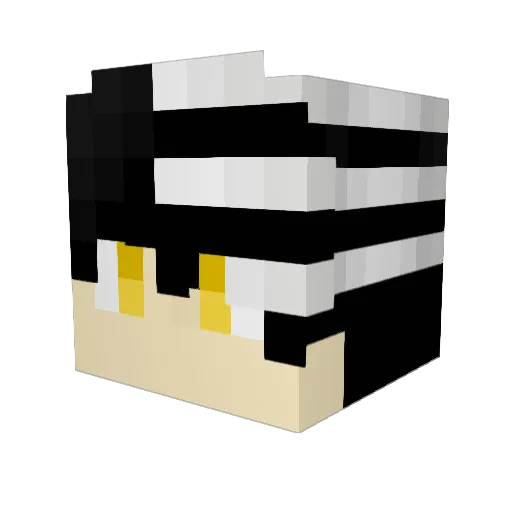noiman21 Minecraft avatar head, 3D render