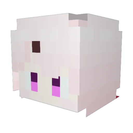 noir_2016 Minecraft avatar head, 3D render