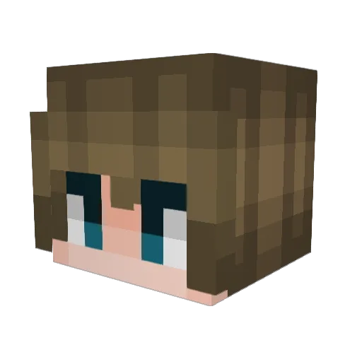 noir_oni Minecraft avatar head, 3D render