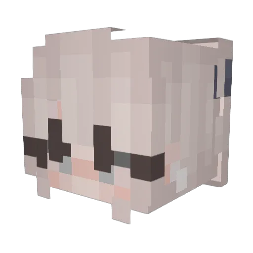 noiravoir Minecraft avatar head, 3D render