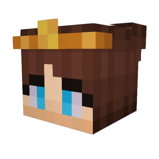 noisyPitta Minecraft avatar head, 3D render