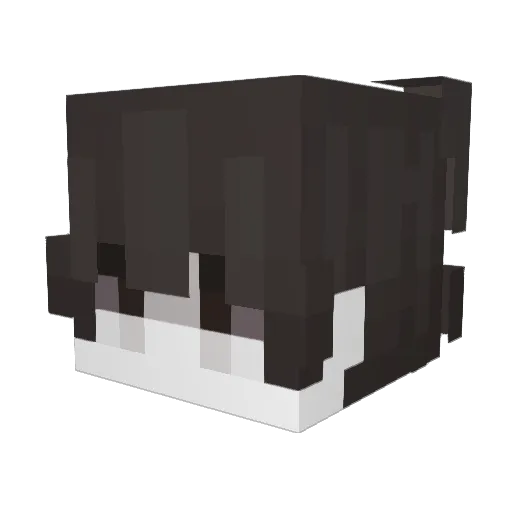noitedesexta Minecraft avatar head, 3D render