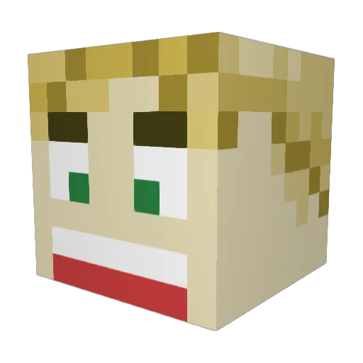 nojer1 Minecraft avatar head, 3D render