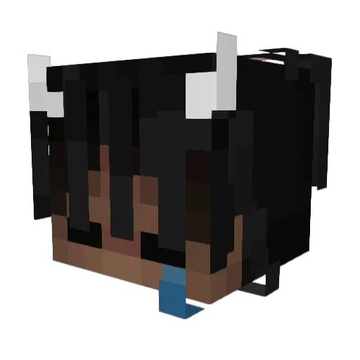 nojumperr Minecraft avatar head, 3D render