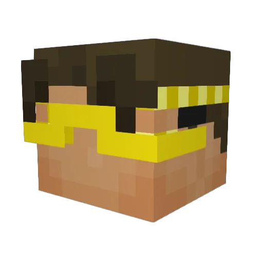 nojy2012 Minecraft avatar head, 3D render