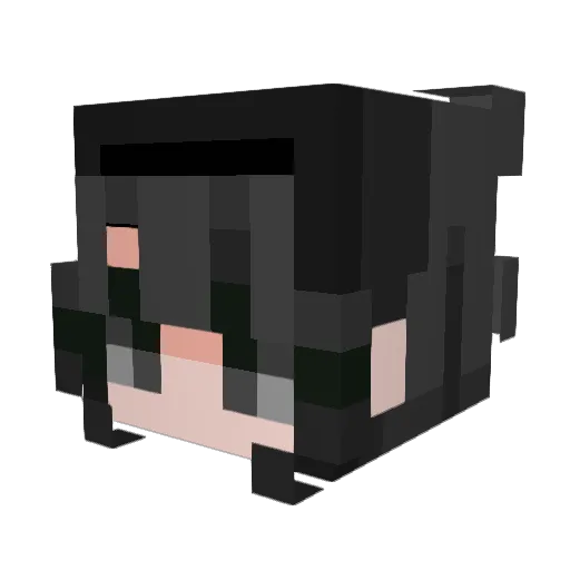 nokale Minecraft avatar head, 3D render
